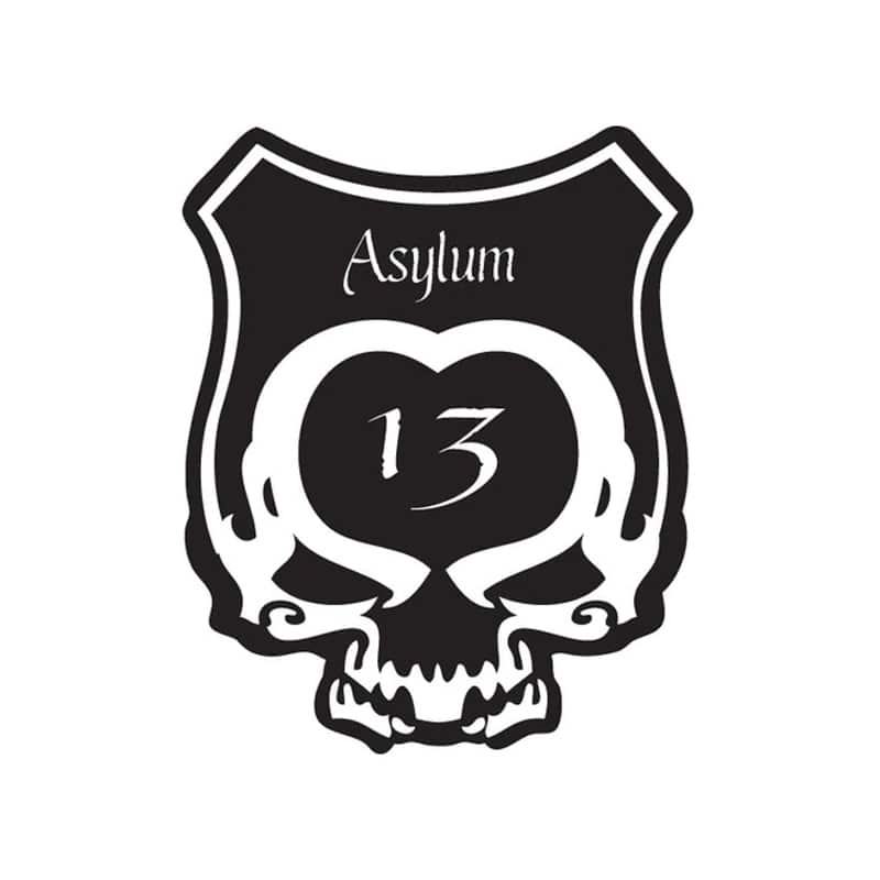 Asylum 13