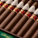 Year of The Horse 2026