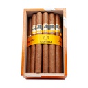 Cohiba Siglo 5