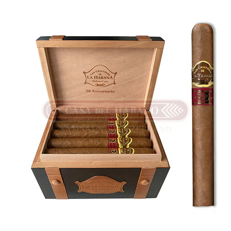 San Cristobal 20 Aniversario