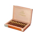 Dominicana Robusto