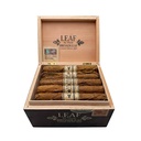 Oscar Valladares Leaf by Broadleaf Limited 2025