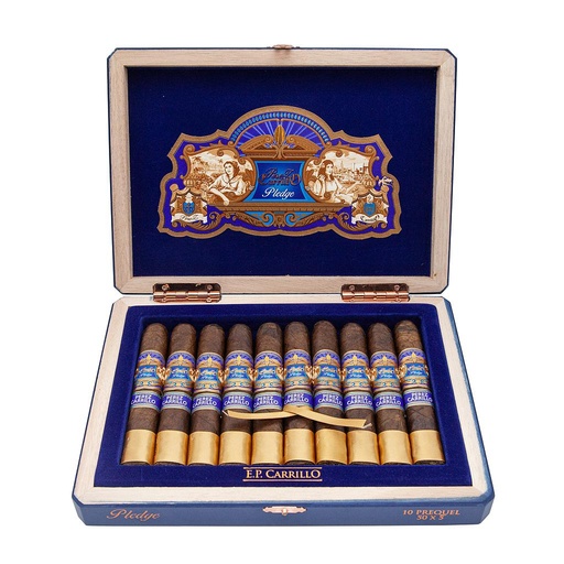 ​​EPCarillo Pledge Prequel