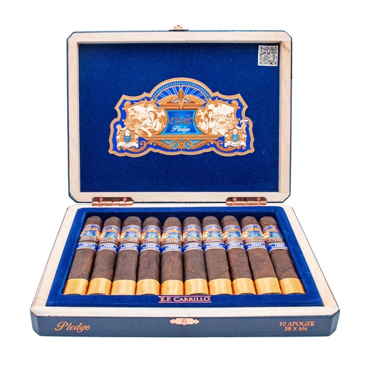 ​​EPCarillo Pledge Apogee