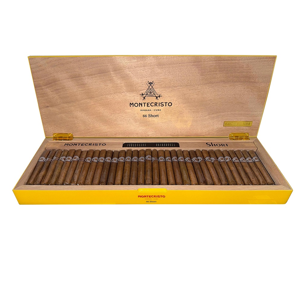 Short Humidor Year Of The Snake